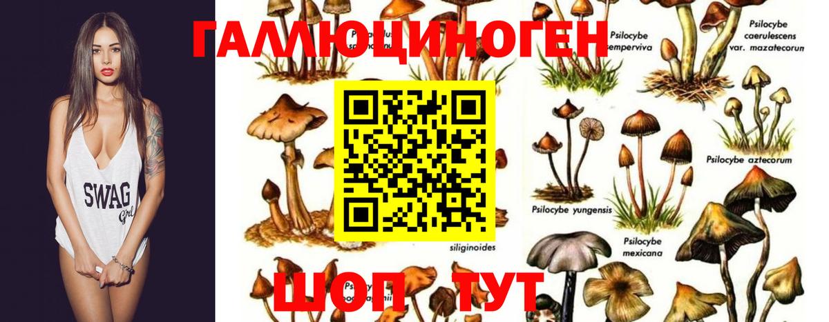 Галлюциногенные грибы Magic Shrooms  Галлюциногенные грибы MAGIC MUSHROOMS  Лесозаводск  Вход с VPN 